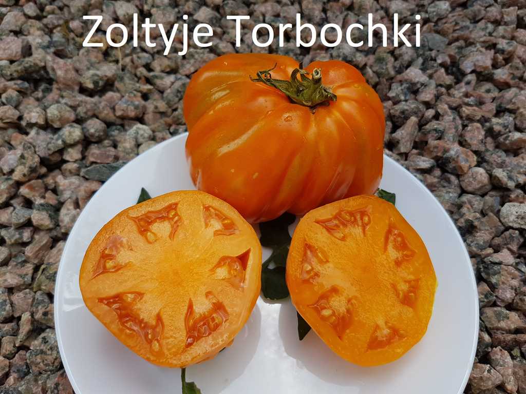 Zoltyje Torbochki